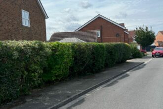 WhatsApp Image 2025-12-10 at 08.53.01 (1)