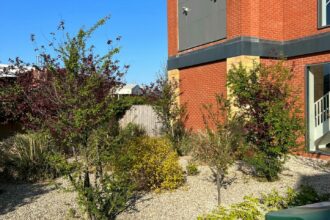 WhatsApp Image 2025-12-10 at 08.53.01